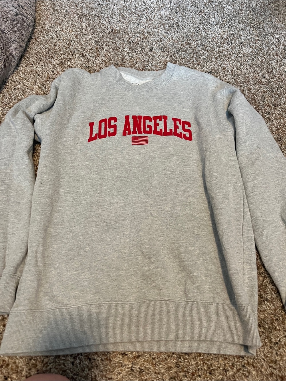 Classic Grey Crewneck Sweatshirt with Red Los Angeles Print